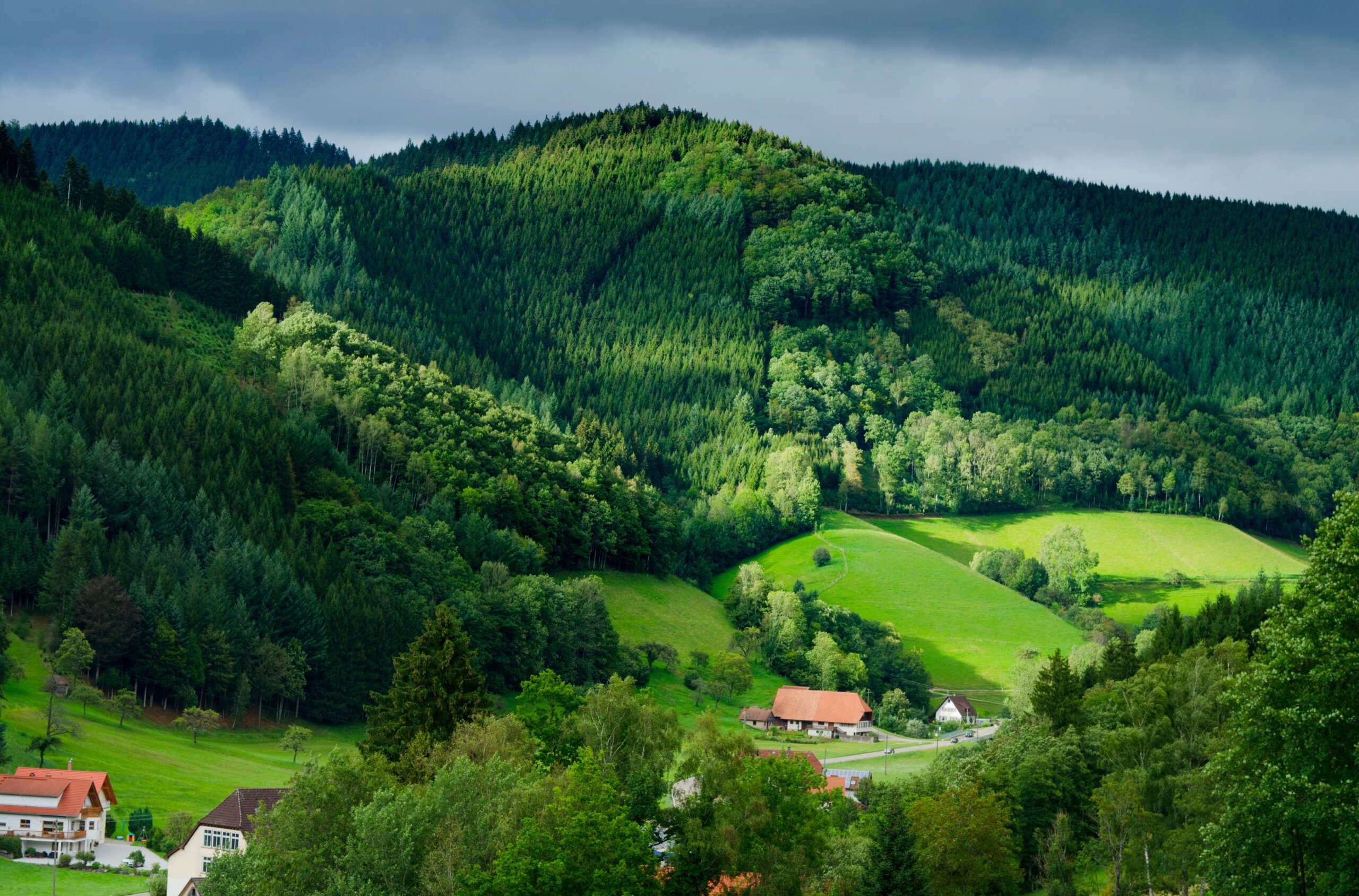 Platzhalterbild